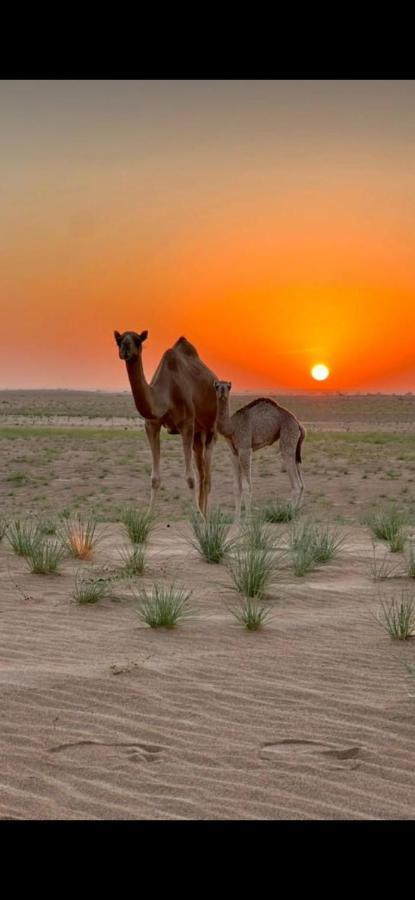 Panorama Camp Bidiya Guest House Al Wasil Bagian luar foto